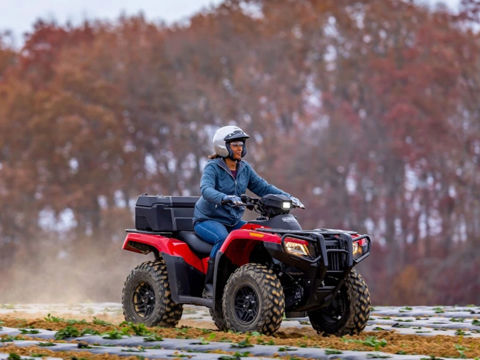 2027 Honda RUBICON 700 photo 5