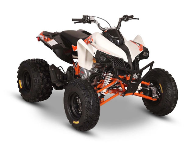 2027 Kayo Storm 300 EFI